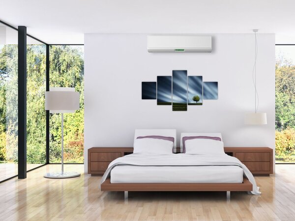 Obraz polární záře nad vřesovištěm (125x70 cm)
