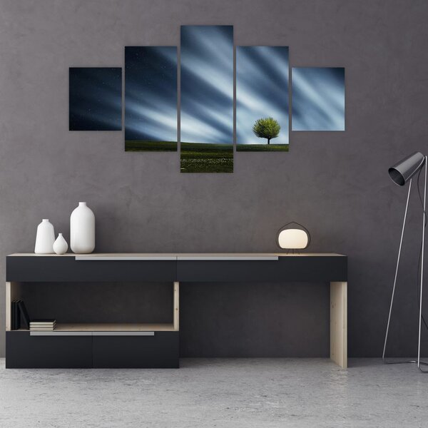 Obraz polární záře nad vřesovištěm (125x70 cm)