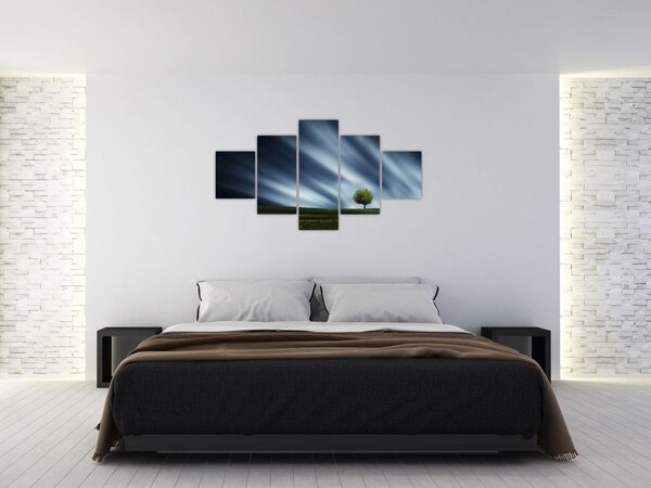 Obraz polární záře nad vřesovištěm (125x70 cm)