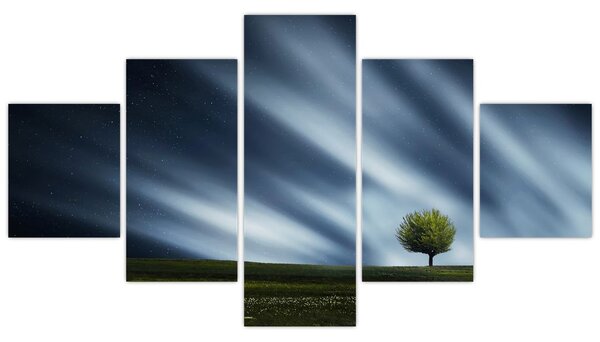 Obraz polární záře nad vřesovištěm (125x70 cm)