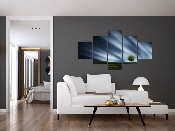 Obraz polární záře nad vřesovištěm (125x70 cm)
