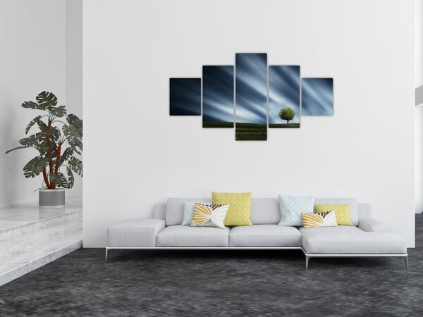 Obraz polární záře nad vřesovištěm (125x70 cm)