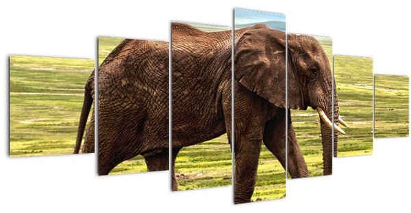 Obraz slona (210x100 cm)