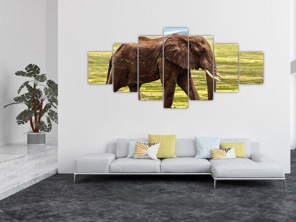 Obraz slona (210x100 cm)