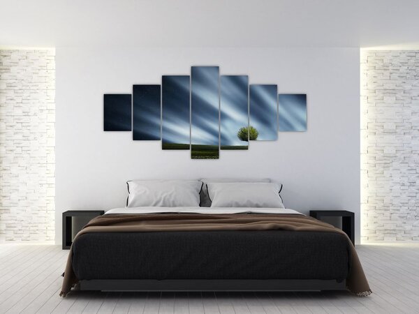 Obraz polární záře nad vřesovištěm (210x100 cm)