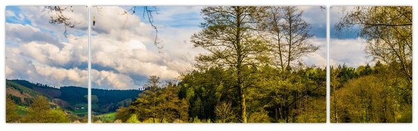 Obraz loďky u jezera (170x50 cm)