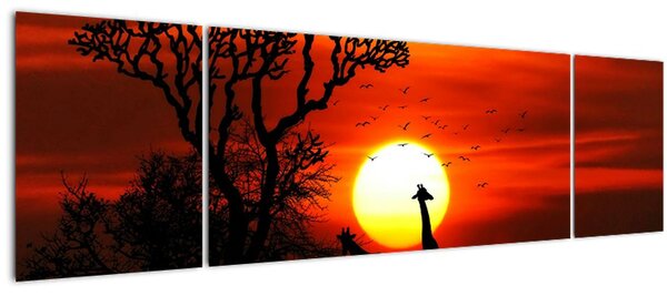Obraz - Siluety zvířat při západu slunce (170x50 cm)