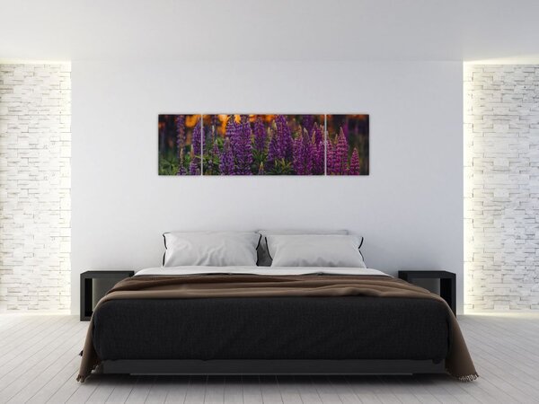 Obraz květů vlčího bobu (170x50 cm)