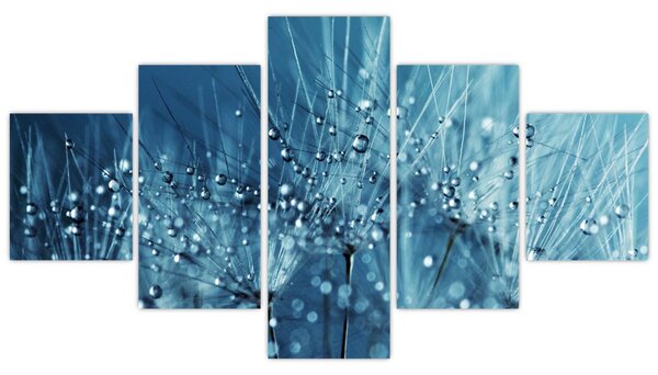 Obraz - Kapky rosy (125x70 cm)