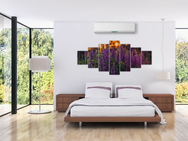 Obraz květů vlčího bobu (210x100 cm)