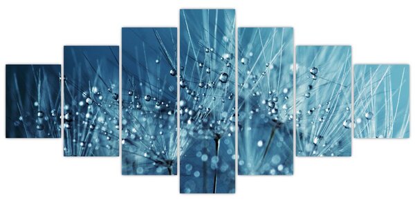 Obraz - Kapky rosy (210x100 cm)