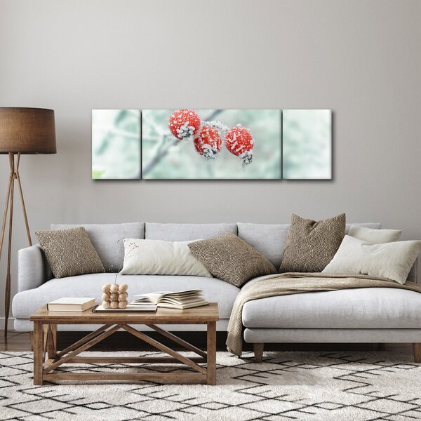 Obraz zmrzlých šípků (170x50 cm)