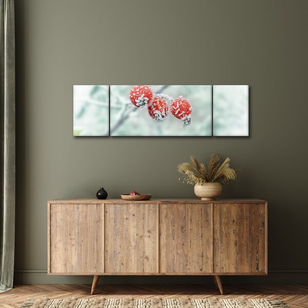 Obraz zmrzlých šípků (170x50 cm)