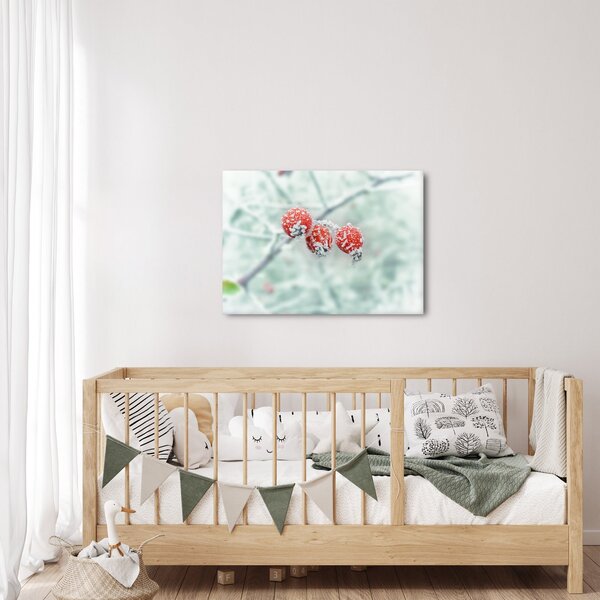 Obraz zmrzlých šípků (70x50 cm)