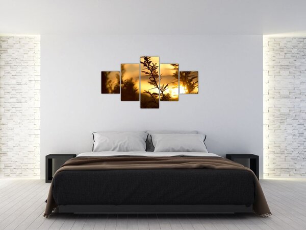 Obraz - Slunce zapadající za stromy (125x70 cm)