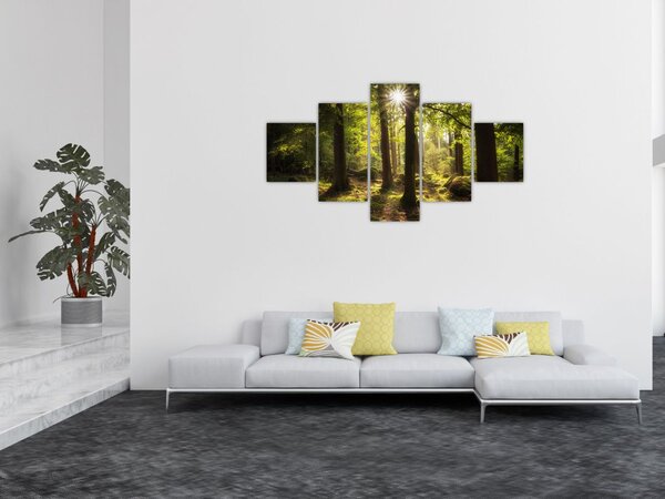 Obraz snového lesa (125x70 cm)