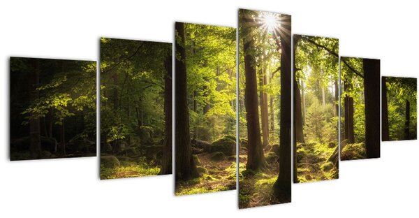 Obraz snového lesa (210x100 cm)