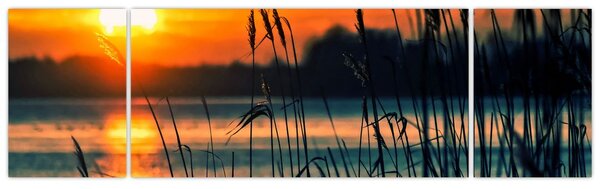 Obraz - Západ slunce nad jezerem (170x50 cm)