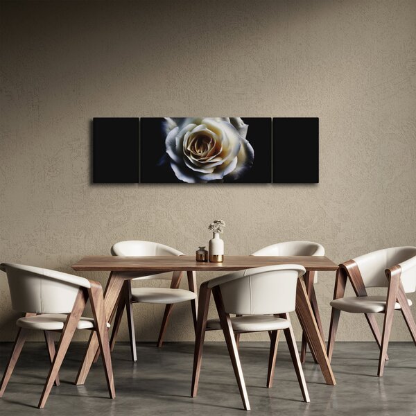 Obraz bílé růže (170x50 cm)