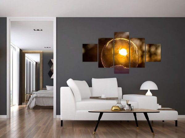 Obraz - Průhledná bublina (125x70 cm)