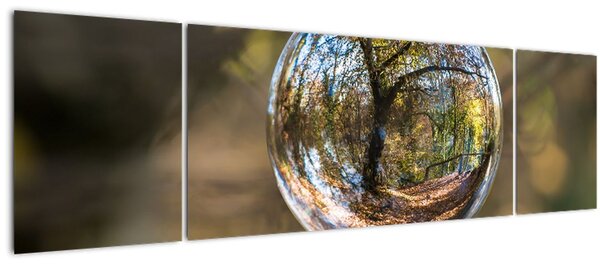 Obraz - Odraz ve skleněné kouli (170x50 cm)
