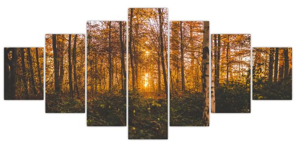 Obraz podzimního lesa (210x100 cm)
