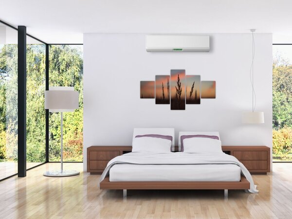 Obraz - Silueta rostliny (125x70 cm)