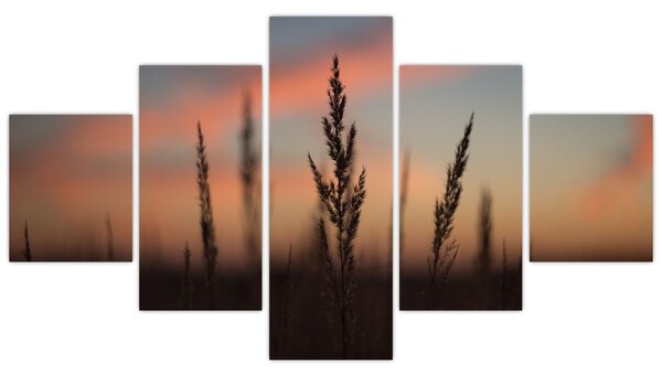 Obraz - Silueta rostliny (125x70 cm)