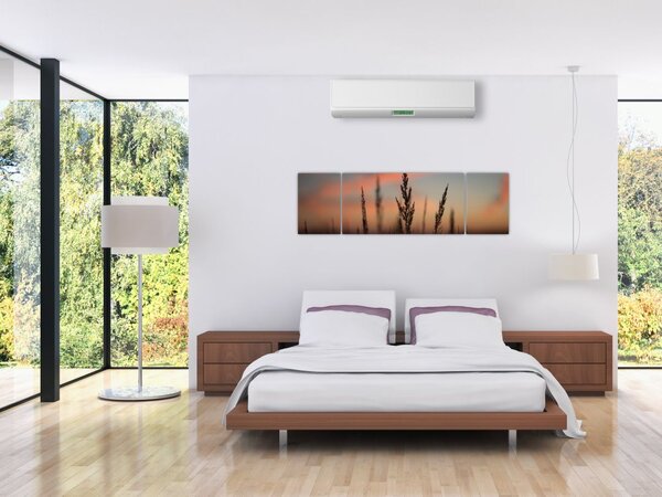 Obraz - Silueta rostliny (170x50 cm)