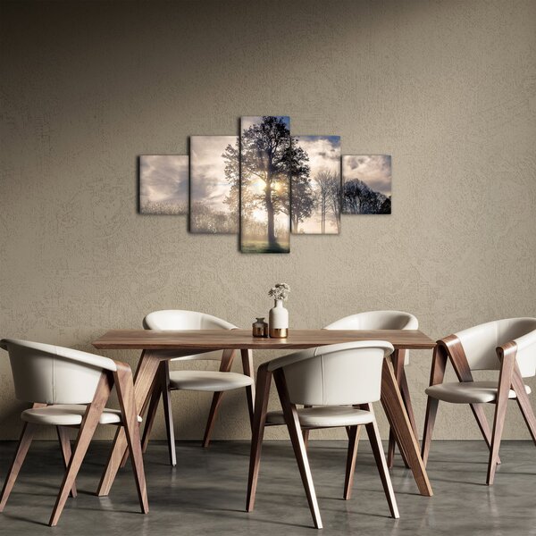 Obraz stromu v mlze (125x70 cm)