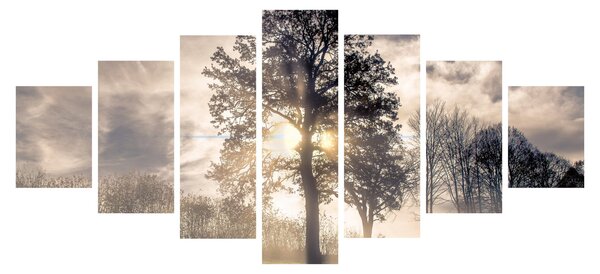 Obraz stromu v mlze (210x100 cm)