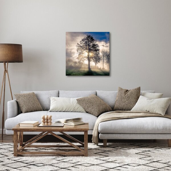 Obraz stromu v mlze (30x30 cm)