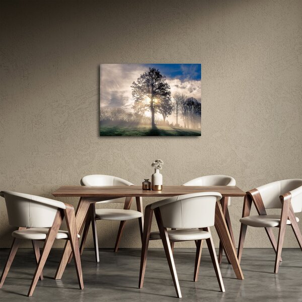 Obraz stromu v mlze (70x50 cm)