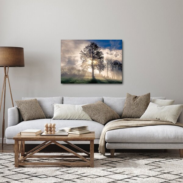 Obraz stromu v mlze (70x50 cm)