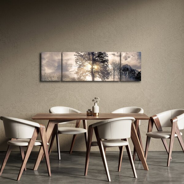 Obraz stromu v mlze (170x50 cm)