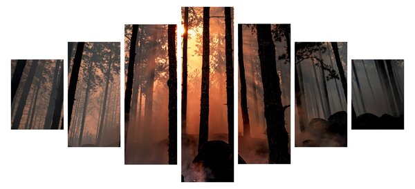 Obraz temného lesa (210x100 cm)