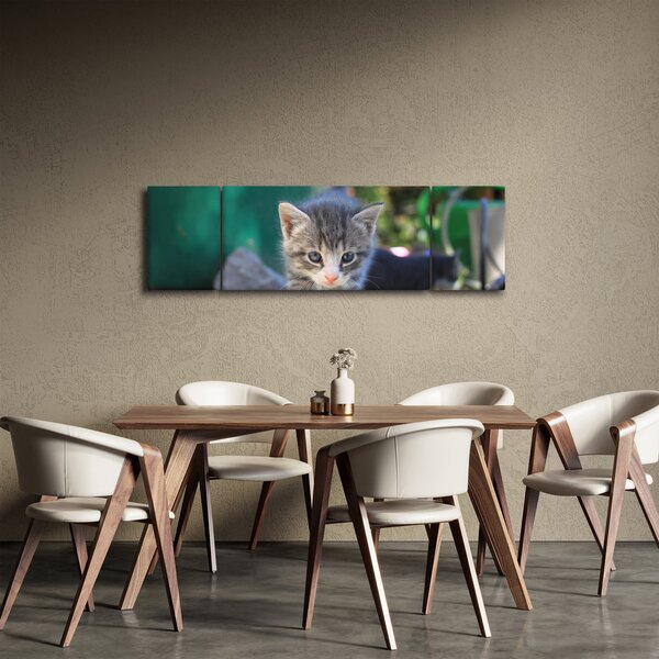 Obraz koťátka (170x50 cm)