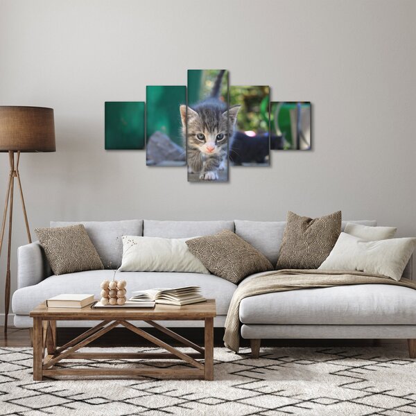 Obraz koťátka (125x70 cm)