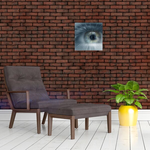 Obraz - Pohled oka (30x30 cm)