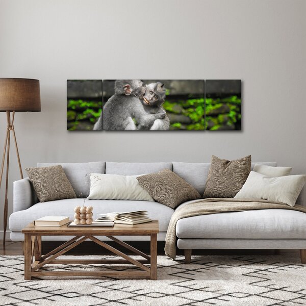 Obraz - opičky (170x50 cm)