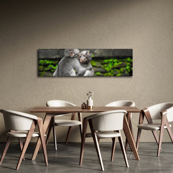 Obraz - opičky (170x50 cm)