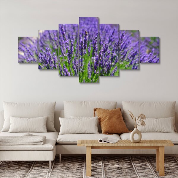 Obraz - levandule (210x100 cm)