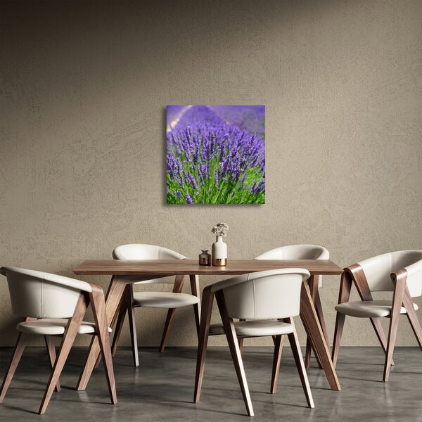 Obraz - levandule (30x30 cm)