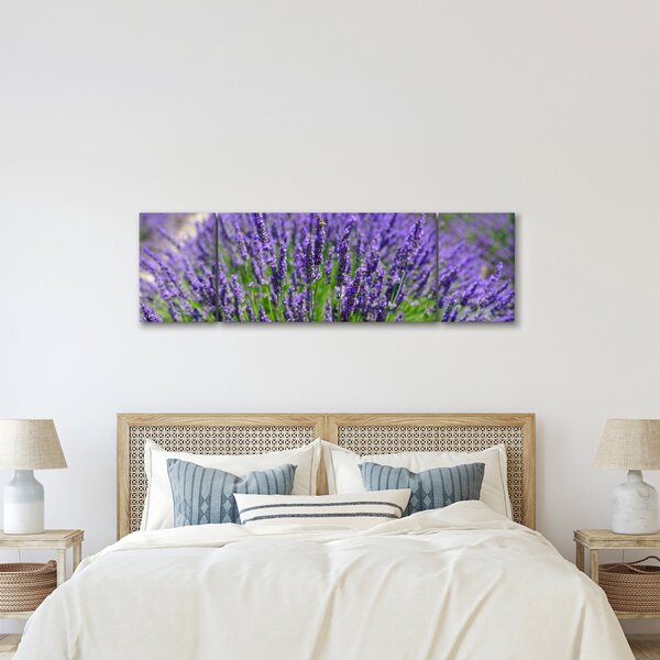 Obraz - levandule (170x50 cm)