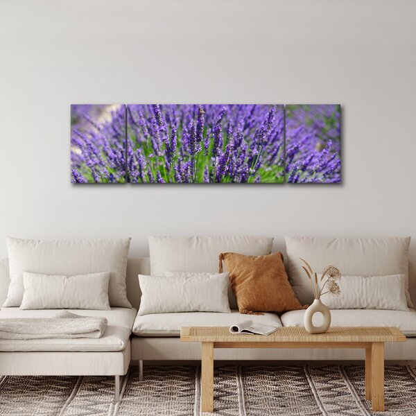 Obraz - levandule (170x50 cm)