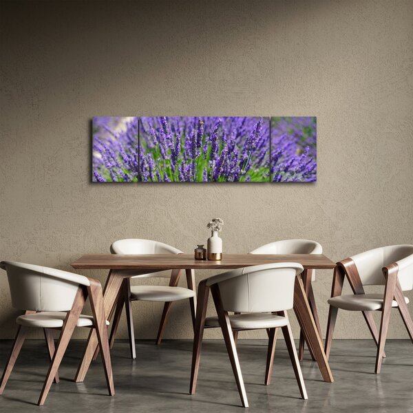 Obraz - levandule (170x50 cm)