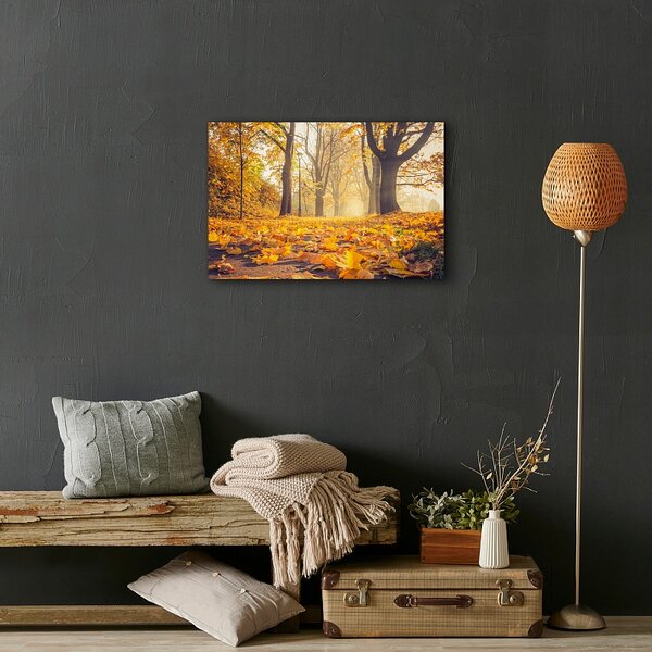 Obraz Autumn Road 60x40