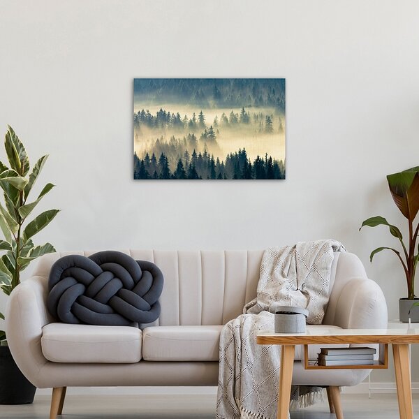 Obraz Foggy Valley 60x40