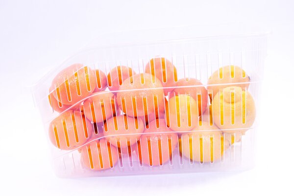 Orion Organizér, košík do lednice i police - ADEL vysoký, transp., 30 x 13 x 17 cm