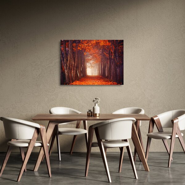 Skleněný obraz - Podzimní les (70x50 cm)